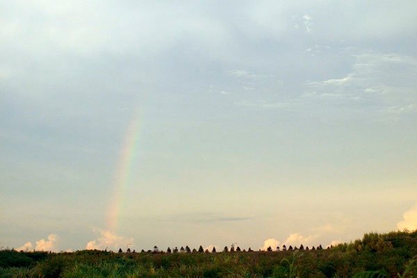2010081601.jpg