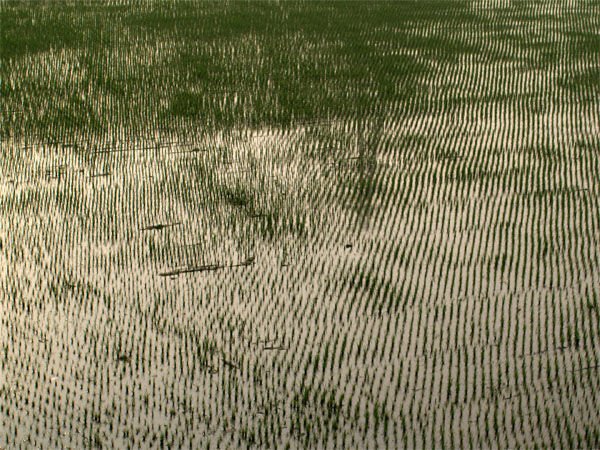 2011032602.jpg