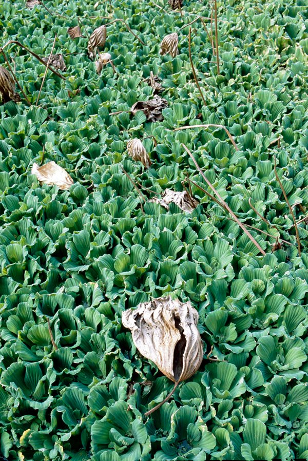 2010122501.jpg