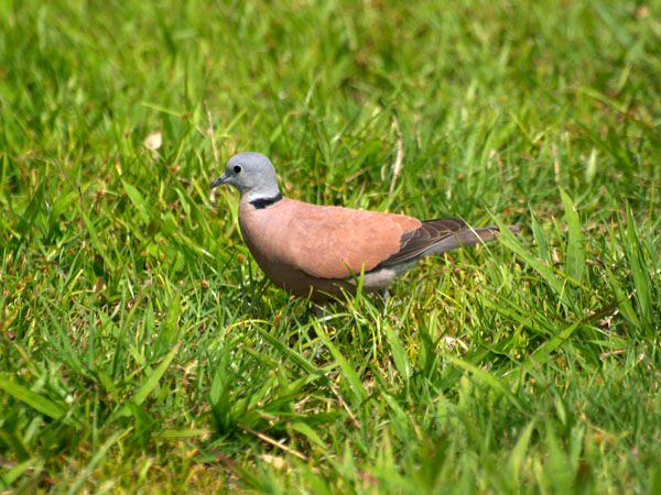 2011041801.jpg