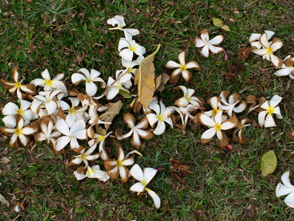 2011013102.jpg