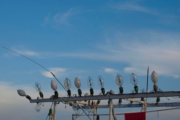 2010081902.jpg