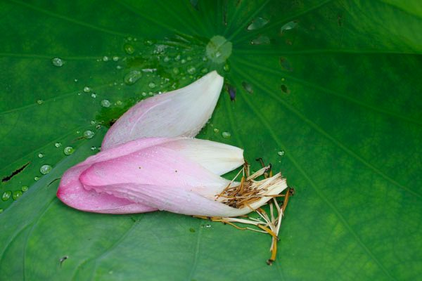 2010070302.jpg