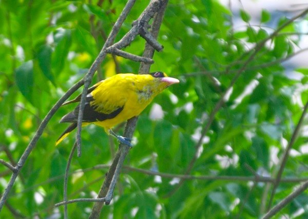 2010082403.jpg
