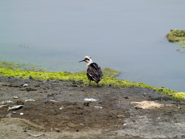 2011030303.jpg