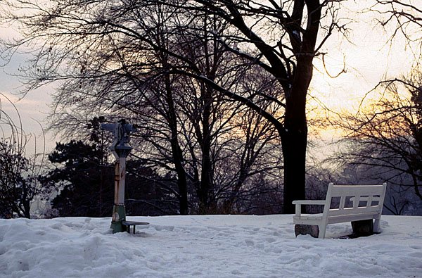 2010123002.jpg