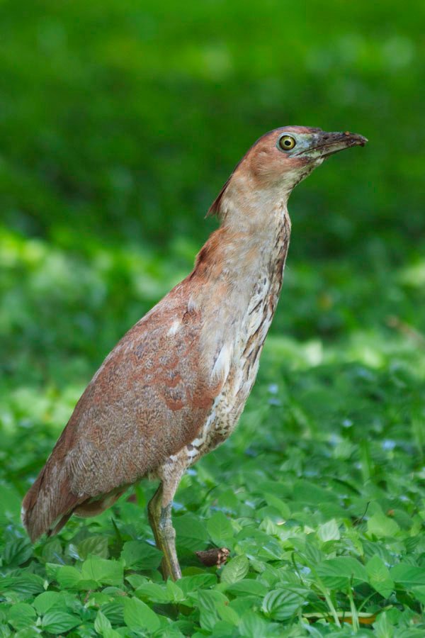 2010081403.jpg