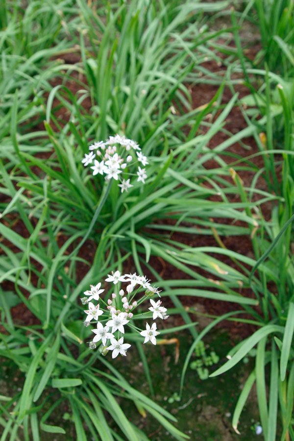 2011010903.jpg