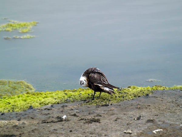 2011030302.jpg