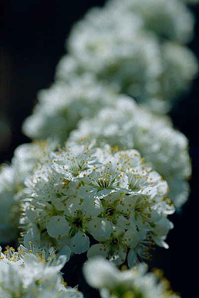 2010122001.jpg