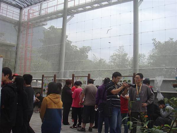 DSC03333 (Medium).JPG