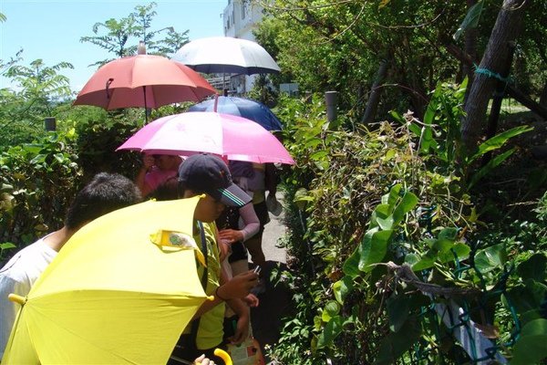 20090824-2.JPG