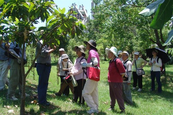 20090825-6.JPG
