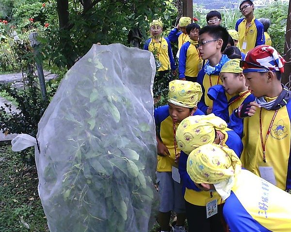 IMG0050A (Medium).jpg