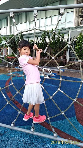 P_20180825_074658.jpg