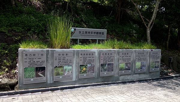 IMAG7231.jpg