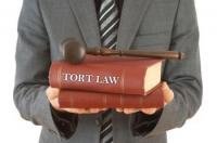 tort-law-overview