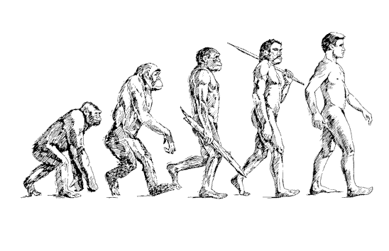 human-evolution.gif