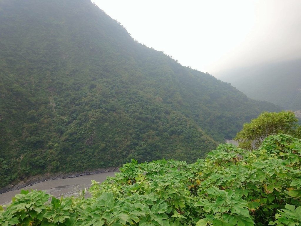 [屏東旅遊推薦]開車去山地門兜風/神山愛玉/霧台/HAN C