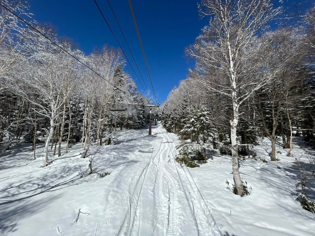 [分享]日本名古屋冬季雪景