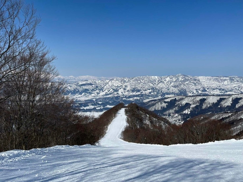 [分享]日本名古屋冬季雪景