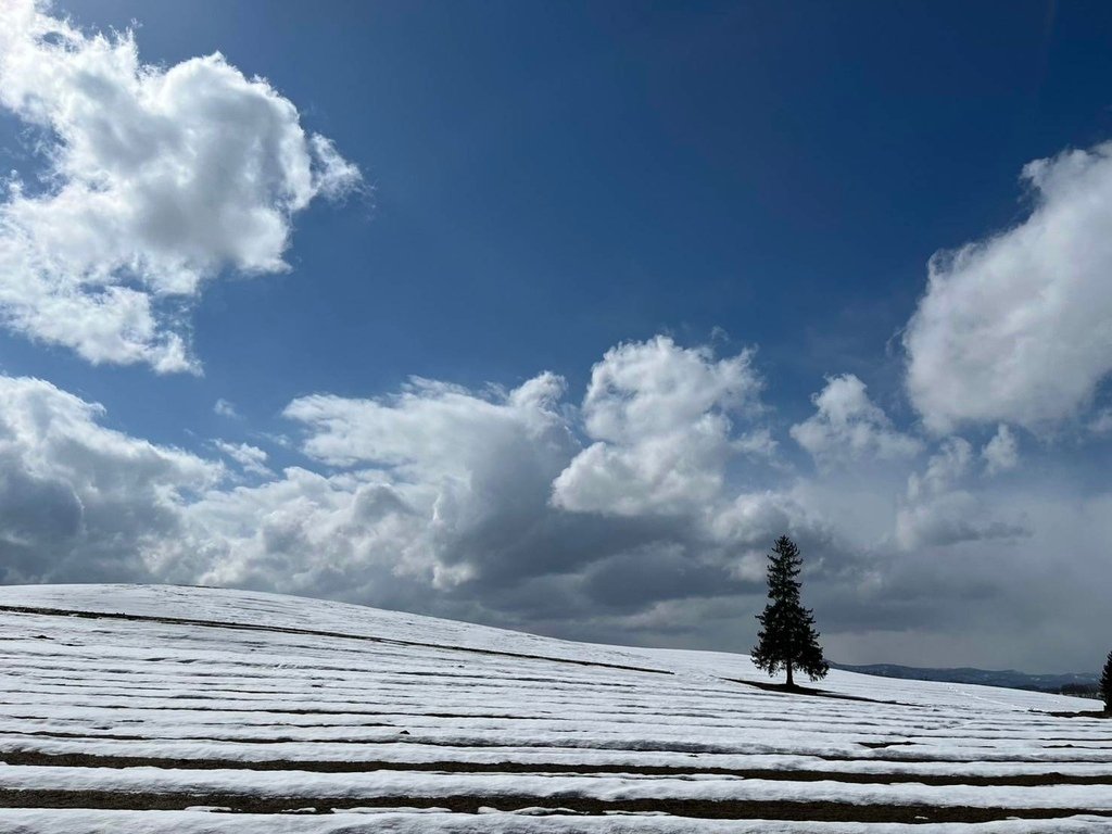 [分享]日本名古屋冬季雪景