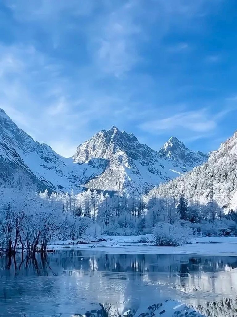 [分享]日本名古屋冬季雪景