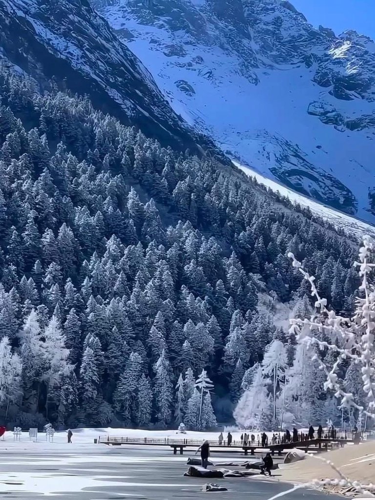 [分享]日本名古屋冬季雪景