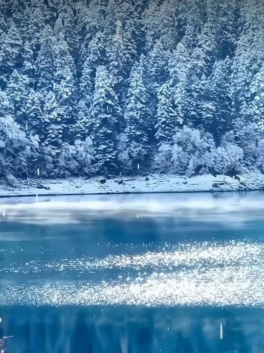 [分享]日本名古屋冬季雪景