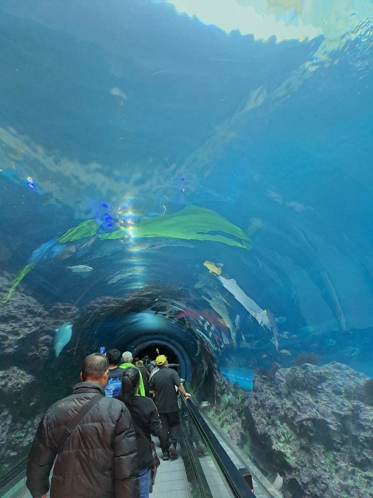 [分享]屏東的兩大旅遊亮點—國立海洋生物博物館（簡稱海生館）