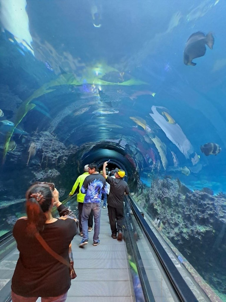 [分享]屏東的兩大旅遊亮點—國立海洋生物博物館（簡稱海生館）