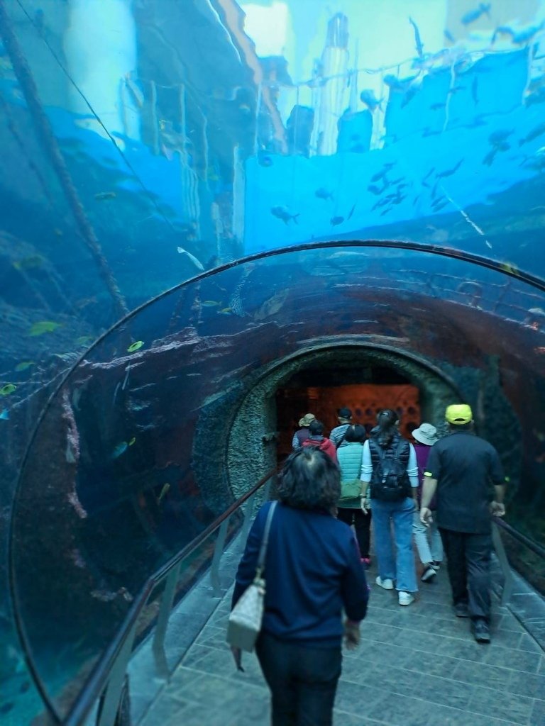 [分享]屏東的兩大旅遊亮點—國立海洋生物博物館（簡稱海生館）