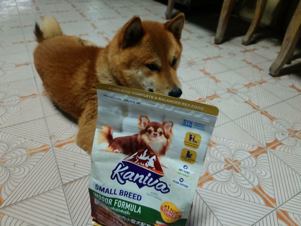 [分享]Kaniva卡咪哇寵物食品：全齡室內小型犬配方