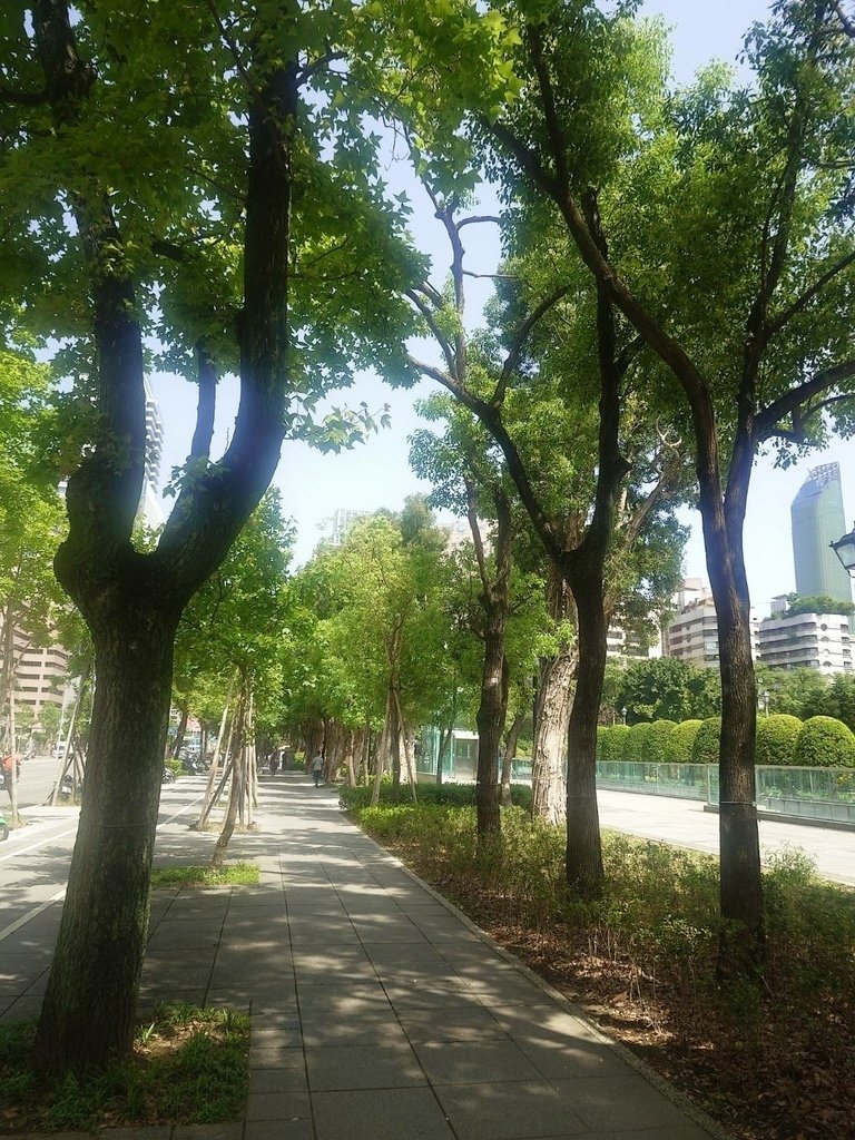 [分享]城市攝影師的凝視：在信義的光影裡行走