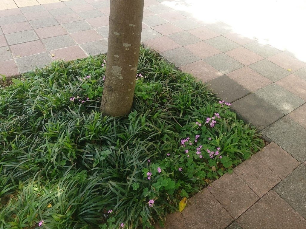 [分享]城市攝影師的凝視：在信義的光影裡行走