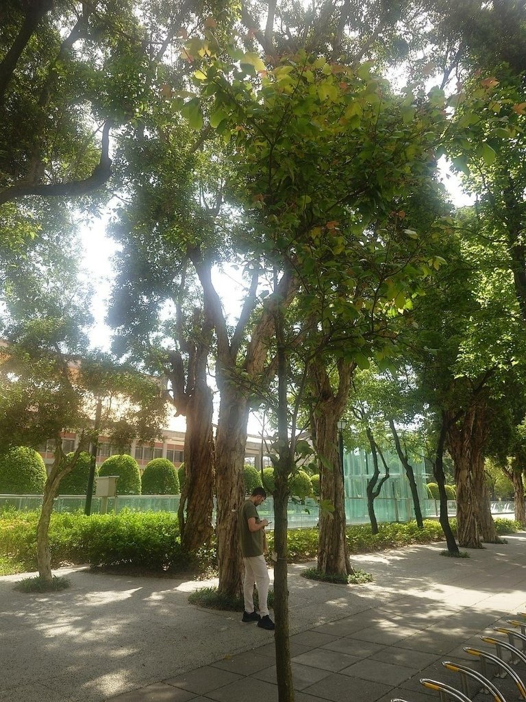 [分享]城市攝影師的凝視：在信義的光影裡行走
