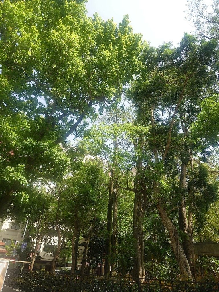 [分享]城市攝影師的凝視：在信義的光影裡行走