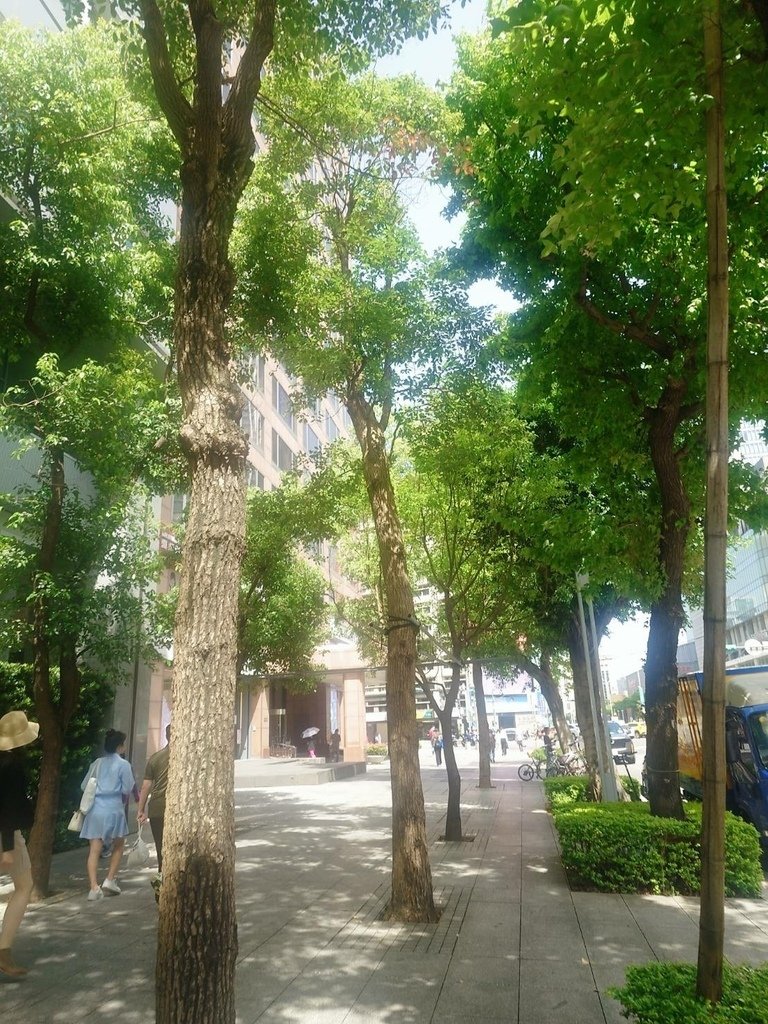 [分享]城市攝影師的凝視：在信義的光影裡行走