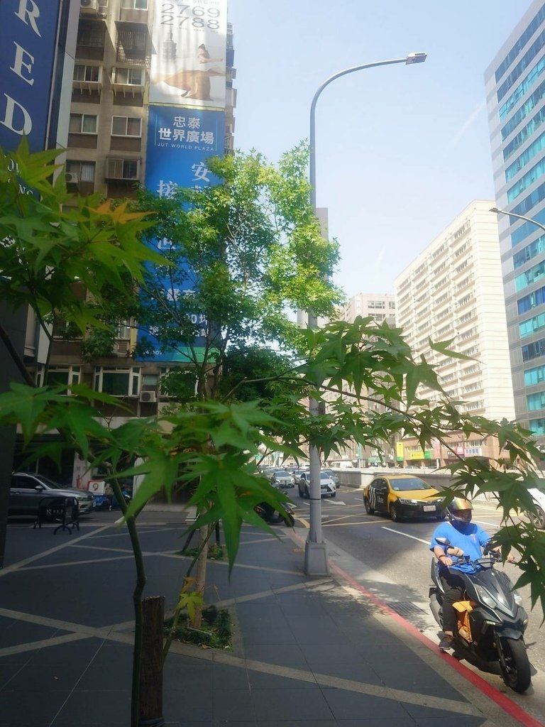 [分享]城市攝影師的凝視：在信義的光影裡行走