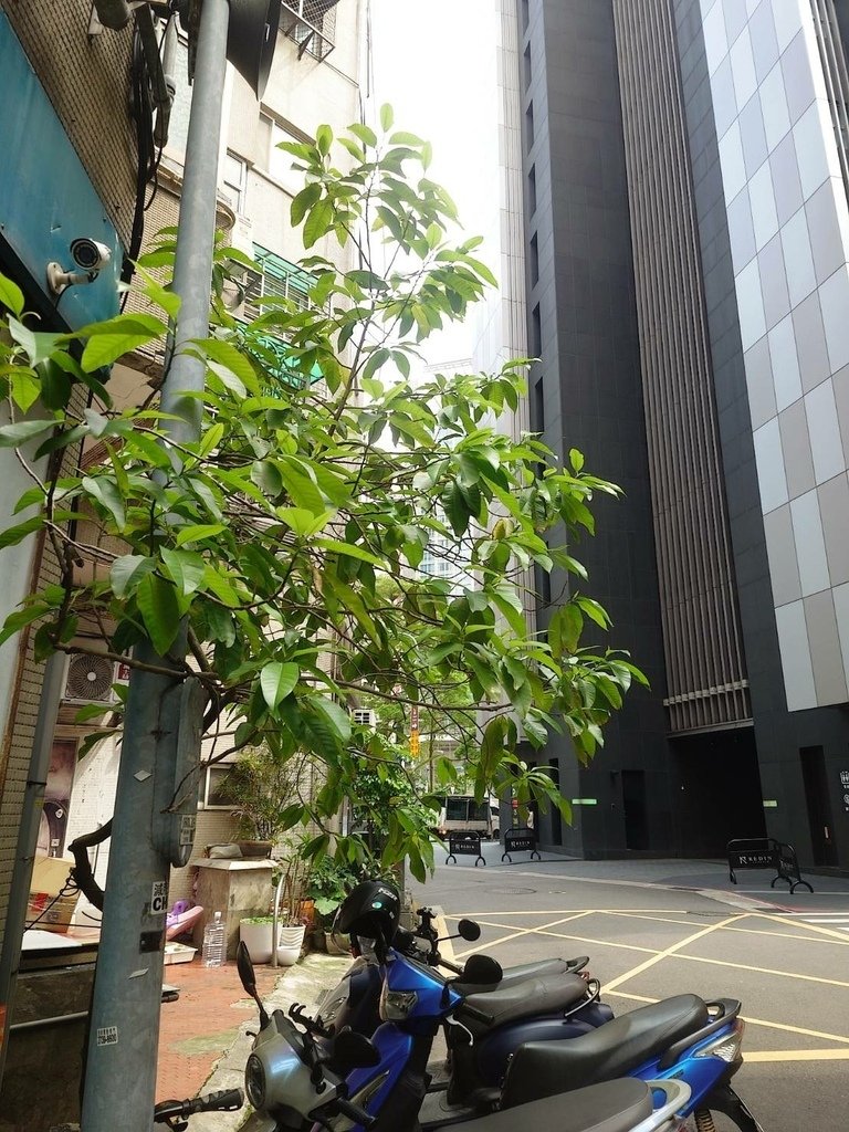 [分享]城市攝影師的凝視：在信義的光影裡行走