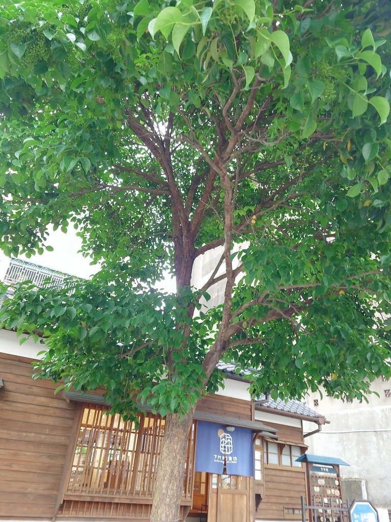 下竹町書坊