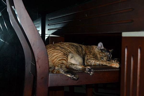 DSC_0019_調整大小.jpg