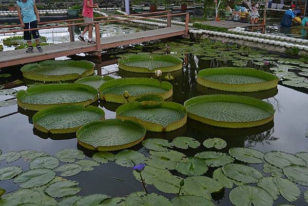 DSC_0027_調整大小.jpg