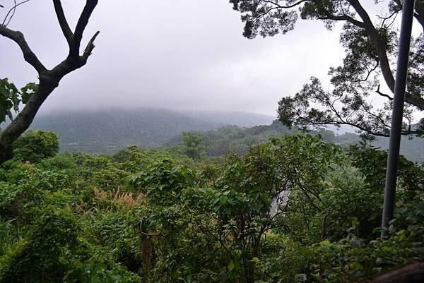 DSC_0041_調整大小.jpg
