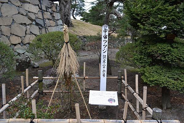 DSC_1589_調整大小.jpg