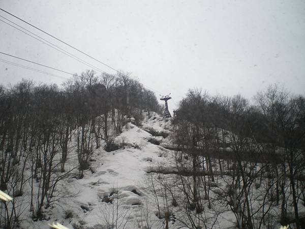 IMGP0066_調整大小.JPG