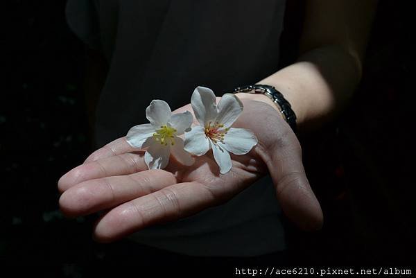 DSC_0042_調整大小.jpg