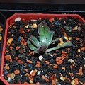 DSC_8866.JPG