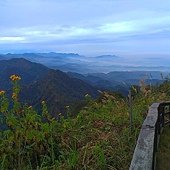 IMAG1530.jpg