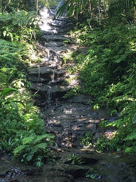 2016-08-20 09.05.11.jpg